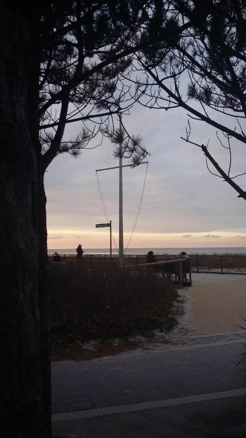 *Strandaster* In Zingst - 100 M Bis Strand, Ruhig, Zentral. Exterior foto